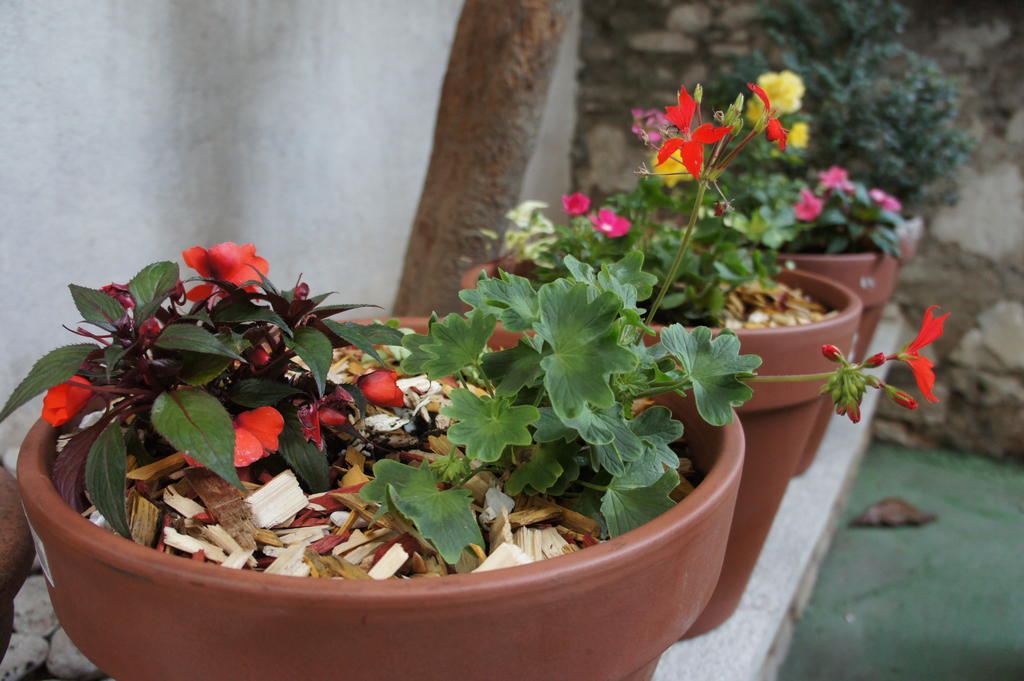 Hostel Splendido Sibenik Luaran gambar